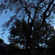 ヒメ日記 2025/05/03 08:10 投稿 相馬 鶯谷ワンハート