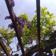 ヒメ日記 2025/05/17 08:16 投稿 相馬 鶯谷ワンハート