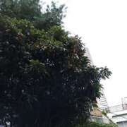 ヒメ日記 2025/06/21 08:09 投稿 相馬 鶯谷ワンハート