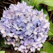 ヒメ日記 2025/07/03 08:15 投稿 相馬 鶯谷ワンハート