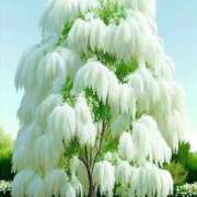 ヒメ日記 2025/07/09 08:12 投稿 相馬 鶯谷ワンハート