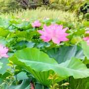 ヒメ日記 2025/07/19 08:16 投稿 相馬 鶯谷ワンハート