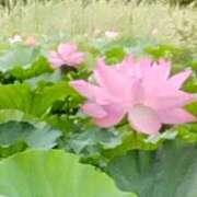 ヒメ日記 2025/08/08 08:07 投稿 相馬 鶯谷ワンハート