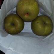 ヒメ日記 2025/08/13 08:12 投稿 相馬 鶯谷ワンハート