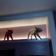 ヒメ日記 2026/01/17 08:23 投稿 相馬 鶯谷ワンハート