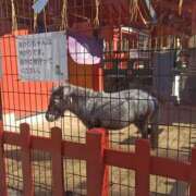 ヒメ日記 2026/01/30 08:23 投稿 相馬 鶯谷ワンハート