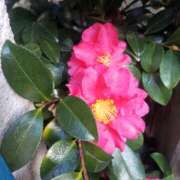 ヒメ日記 2026/02/26 08:17 投稿 相馬 鶯谷ワンハート