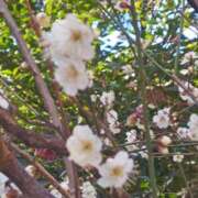 ヒメ日記 2026/03/12 08:18 投稿 相馬 鶯谷ワンハート