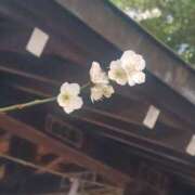 ヒメ日記 2026/03/20 08:13 投稿 相馬 鶯谷ワンハート