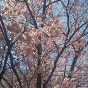 ヒメ日記 2026/03/28 08:10 投稿 相馬 鶯谷ワンハート