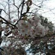 ヒメ日記 2026/04/02 08:12 投稿 相馬 鶯谷ワンハート