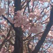 ヒメ日記 2026/04/03 08:06 投稿 相馬 鶯谷ワンハート