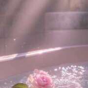 ヒメ日記 2025/06/22 13:18 投稿 日向/Hinata ジュリエット