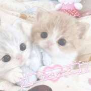 ヒメ日記 2026/02/08 20:44 投稿 すず とある風俗店♡やりすぎさーくる新宿大久保店♡で色んな無料オプションしてみました