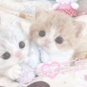 ヒメ日記 2026/02/08 20:52 投稿 すず とある風俗店♡やりすぎさーくる新宿大久保店♡で色んな無料オプションしてみました