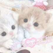 ヒメ日記 2026/02/08 20:58 投稿 すず とある風俗店♡やりすぎさーくる新宿大久保店♡で色んな無料オプションしてみました