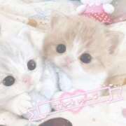 ヒメ日記 2026/02/09 03:00 投稿 すず とある風俗店♡やりすぎさーくる新宿大久保店♡で色んな無料オプションしてみました