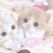 ヒメ日記 2026/02/09 03:11 投稿 すず とある風俗店♡やりすぎさーくる新宿大久保店♡で色んな無料オプションしてみました