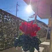 ヒメ日記 2024/12/22 10:06 投稿 みなよ 西川口おかあさん