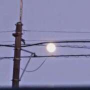 ヒメ日記 2025/01/13 18:41 投稿 みなよ 西川口おかあさん