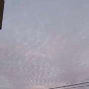 ヒメ日記 2025/01/28 08:01 投稿 みなよ 西川口おかあさん