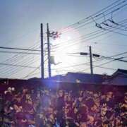 ヒメ日記 2025/02/15 08:11 投稿 みなよ 西川口おかあさん