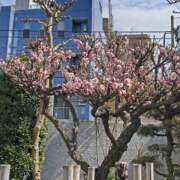 ヒメ日記 2025/02/28 14:41 投稿 みなよ 西川口おかあさん