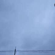 ヒメ日記 2025/03/19 07:41 投稿 みなよ 西川口おかあさん