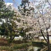 ヒメ日記 2025/04/02 11:51 投稿 みなよ 西川口おかあさん