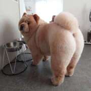 ヒメ日記 2025/04/11 09:21 投稿 みなよ 西川口おかあさん