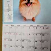 ヒメ日記 2025/05/01 08:11 投稿 みなよ 西川口おかあさん