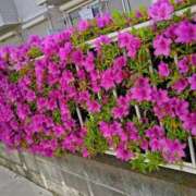 ヒメ日記 2025/05/01 17:21 投稿 みなよ 西川口おかあさん