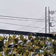 ヒメ日記 2025/05/10 06:41 投稿 みなよ 西川口おかあさん