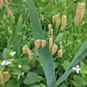 ヒメ日記 2025/05/26 07:21 投稿 みなよ 西川口おかあさん