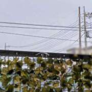 ヒメ日記 2025/06/03 07:11 投稿 みなよ 西川口おかあさん