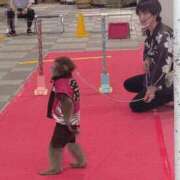 ヒメ日記 2025/06/06 12:11 投稿 みなよ 西川口おかあさん