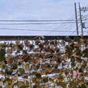 ヒメ日記 2025/06/08 05:31 投稿 みなよ 西川口おかあさん