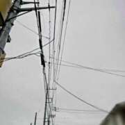 ヒメ日記 2025/06/15 07:21 投稿 みなよ 西川口おかあさん