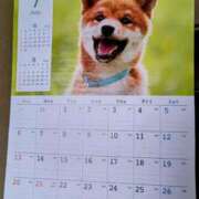 ヒメ日記 2025/07/01 07:45 投稿 みなよ 西川口おかあさん