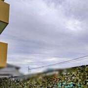 ヒメ日記 2025/08/12 08:01 投稿 みなよ 西川口おかあさん