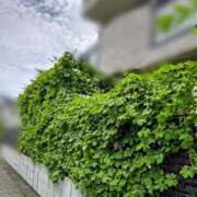 ヒメ日記 2025/08/13 13:53 投稿 みなよ 西川口おかあさん