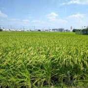 ヒメ日記 2025/08/26 16:02 投稿 みなよ 西川口おかあさん