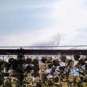 ヒメ日記 2025/08/28 07:51 投稿 みなよ 西川口おかあさん