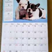 ヒメ日記 2025/09/01 07:21 投稿 みなよ 西川口おかあさん