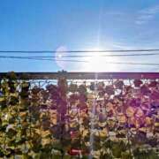 ヒメ日記 2025/09/03 06:51 投稿 みなよ 西川口おかあさん