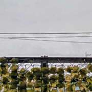 ヒメ日記 2025/09/05 07:01 投稿 みなよ 西川口おかあさん