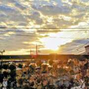 ヒメ日記 2025/09/30 06:51 投稿 みなよ 西川口おかあさん