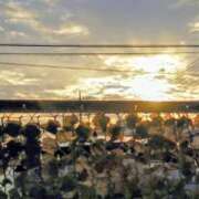 ヒメ日記 2025/10/04 06:56 投稿 みなよ 西川口おかあさん