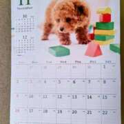 ヒメ日記 2025/11/01 07:16 投稿 みなよ 西川口おかあさん