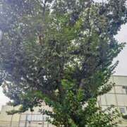 ヒメ日記 2025/11/01 12:47 投稿 みなよ 西川口おかあさん